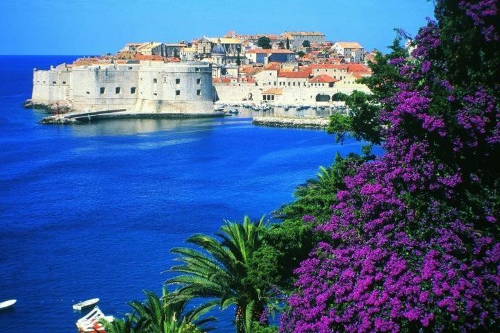 Gasthof Mediteran Old Town Dubrovnik